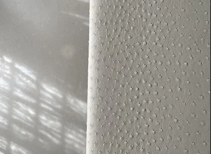 Modern Luxury Pool House רומא