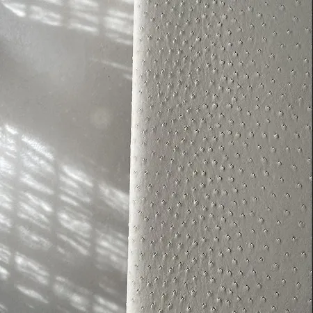 Modern Luxury Pool House Rom